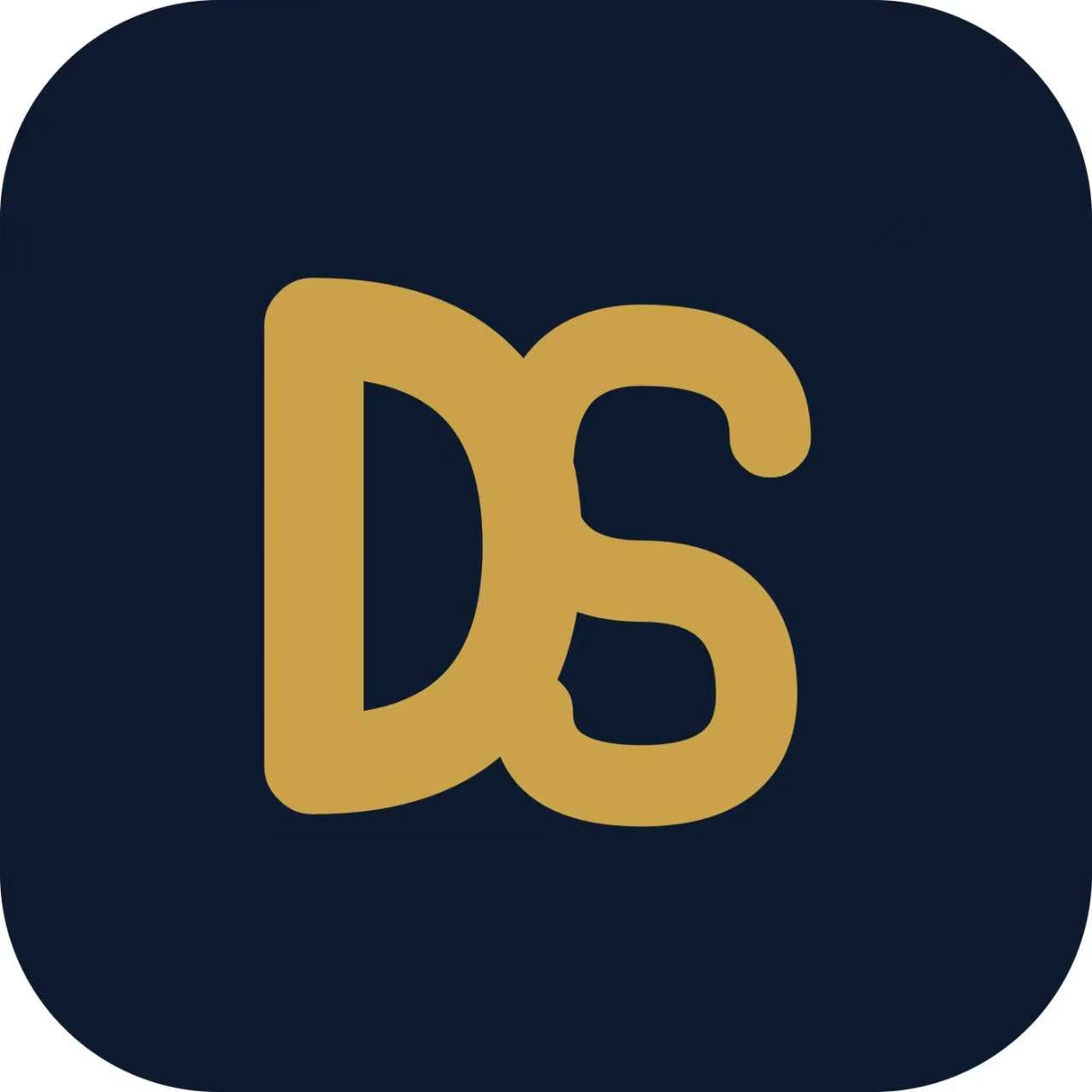 帝苏 DS